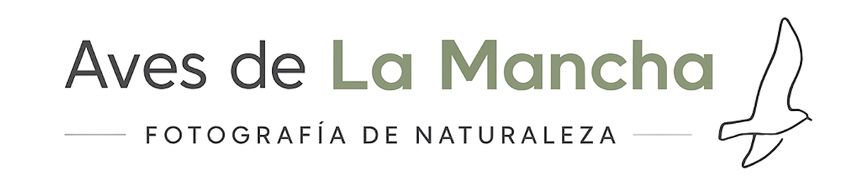Aves de La Mancha